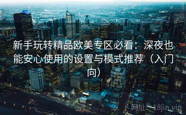 新手玩转精品欧美专区必看：深夜也能安心使用的设置与模式推荐（入门向）