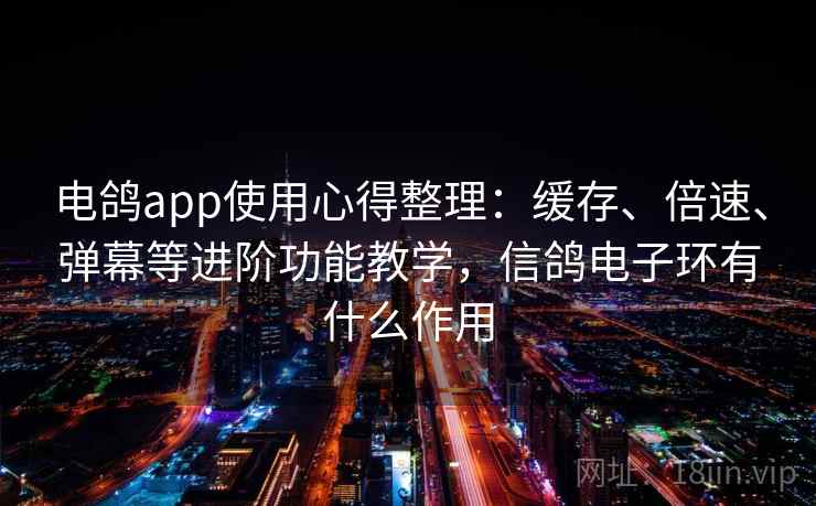 电鸽app使用心得整理：缓存、倍速、弹幕等进阶功能教学，信鸽电子环有什么作用