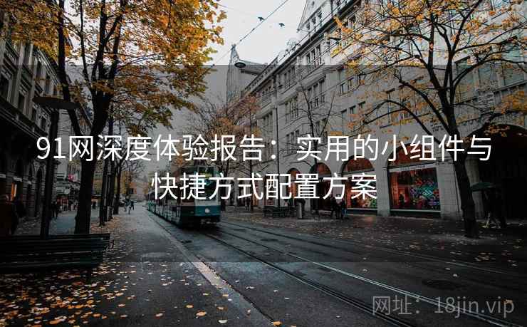 91网深度体验报告：实用的小组件与快捷方式配置方案