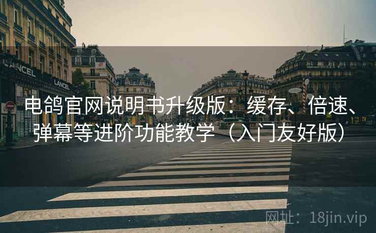 电鸽官网说明书升级版：缓存、倍速、弹幕等进阶功能教学（入门友好版）