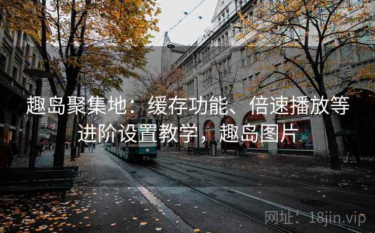 趣岛聚集地：缓存功能、倍速播放等进阶设置教学，趣岛图片
