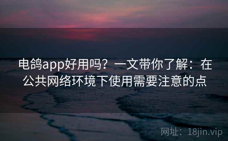 电鸽app好用吗？一文带你了解：在公共网络环境下使用需要注意的点