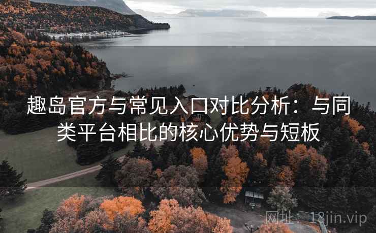 趣岛官方与常见入口对比分析：与同类平台相比的核心优势与短板
