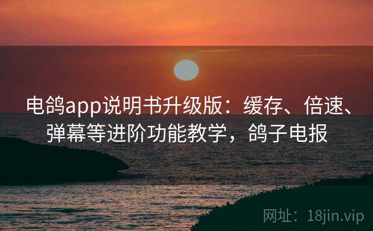 电鸽app说明书升级版：缓存、倍速、弹幕等进阶功能教学，鸽子电报
