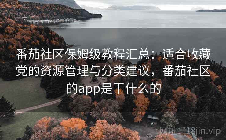 番茄社区保姆级教程汇总：适合收藏党的资源管理与分类建议，番茄社区的app是干什么的