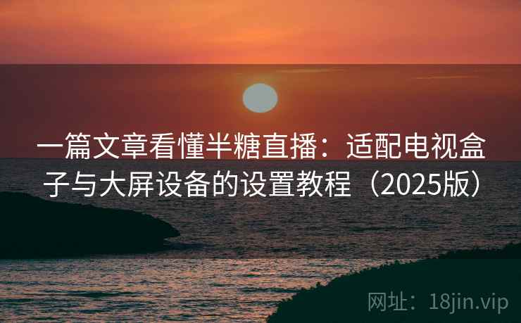 一篇文章看懂半糖直播：适配电视盒子与大屏设备的设置教程（2025版）