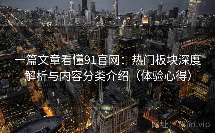 一篇文章看懂91官网：热门板块深度解析与内容分类介绍（体验心得）