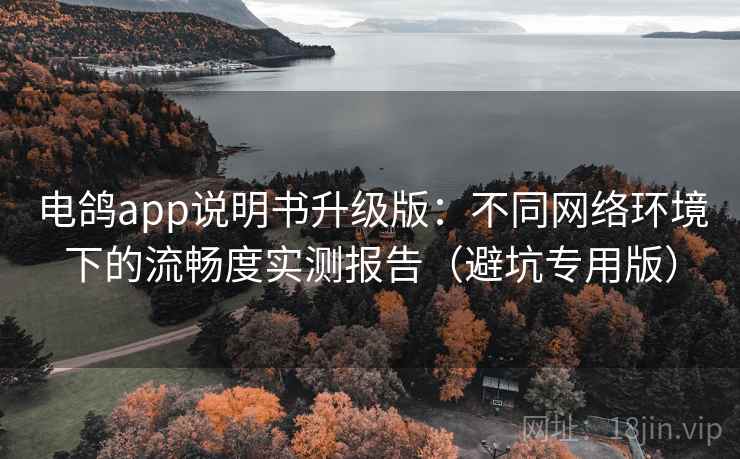电鸽app说明书升级版：不同网络环境下的流畅度实测报告（避坑专用版）