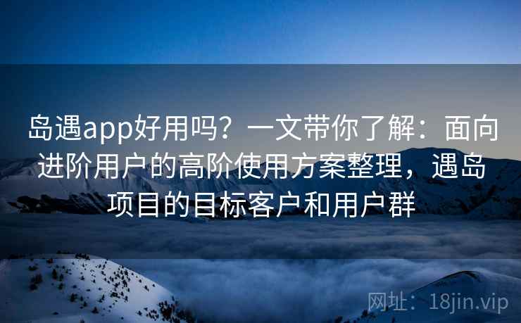 岛遇app好用吗？一文带你了解：面向进阶用户的高阶使用方案整理，遇岛项目的目标客户和用户群