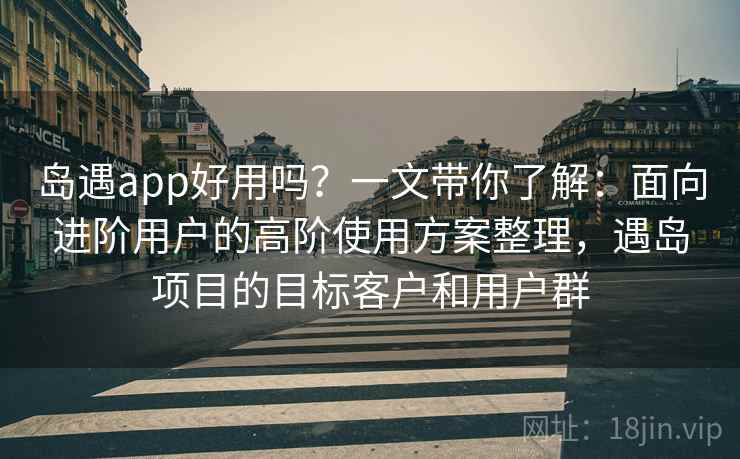 岛遇app好用吗？一文带你了解：面向进阶用户的高阶使用方案整理，遇岛项目的目标客户和用户群