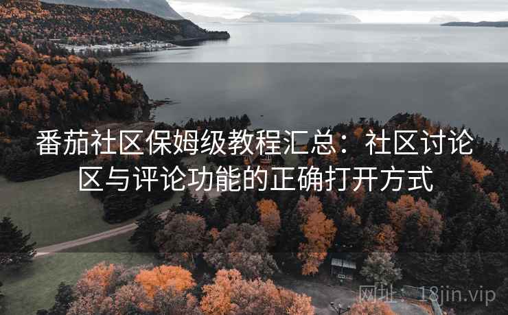 番茄社区保姆级教程汇总：社区讨论区与评论功能的正确打开方式