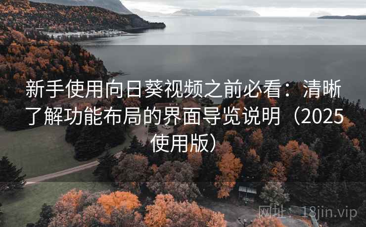 新手使用向日葵视频之前必看：清晰了解功能布局的界面导览说明（2025使用版）