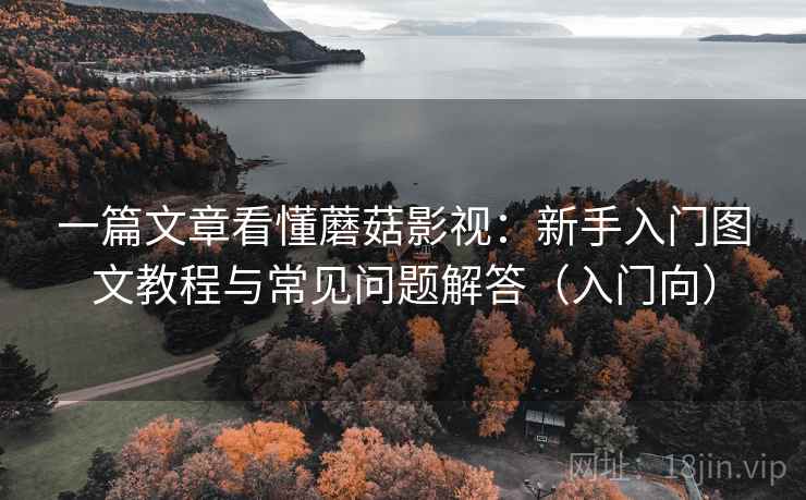 一篇文章看懂蘑菇影视：新手入门图文教程与常见问题解答（入门向）