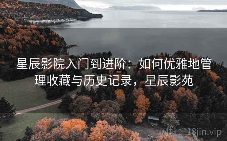 星辰影院入门到进阶：如何优雅地管理收藏与历史记录，星辰影苑