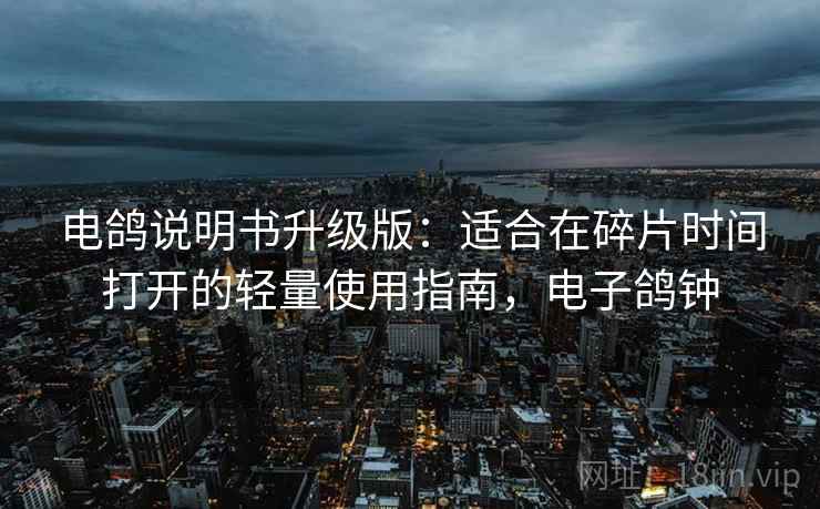 电鸽说明书升级版：适合在碎片时间打开的轻量使用指南，电子鸽钟